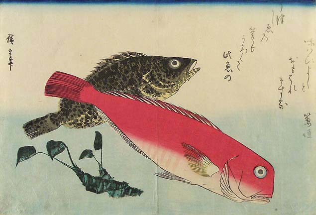 Hiroshige, horsehead, rock cod and wasabi plant